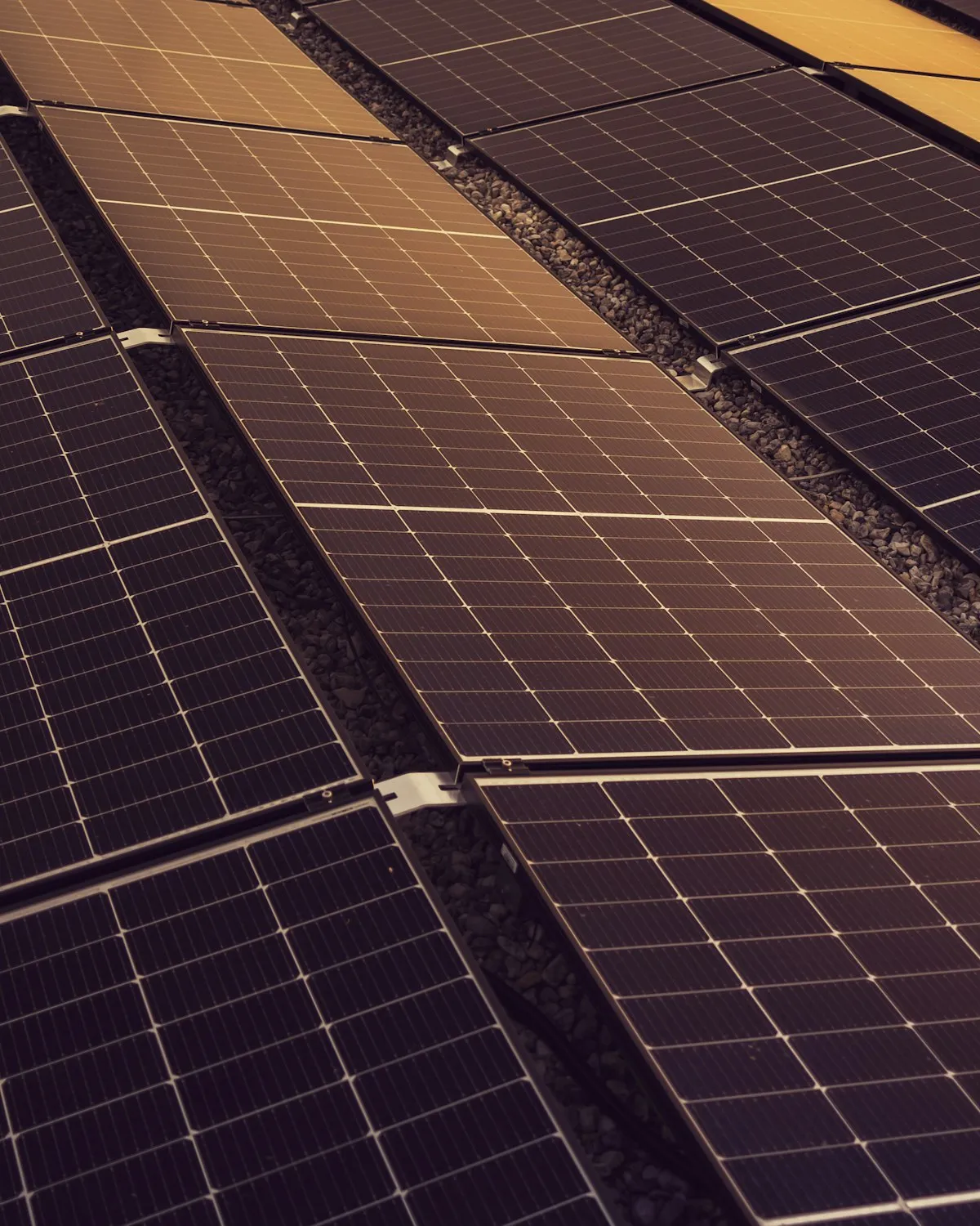 Rows of solar panels on a roof in warm light